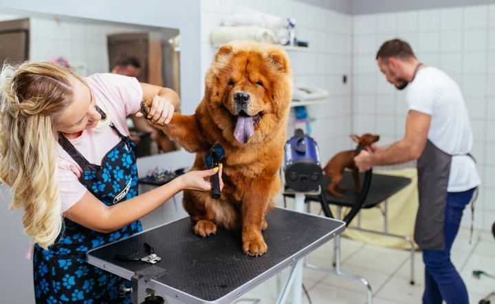Groomer